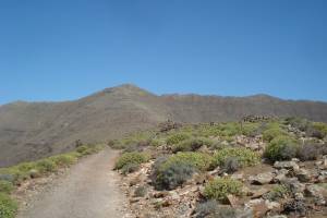 Wanderweg auf den Pico de la Zarza