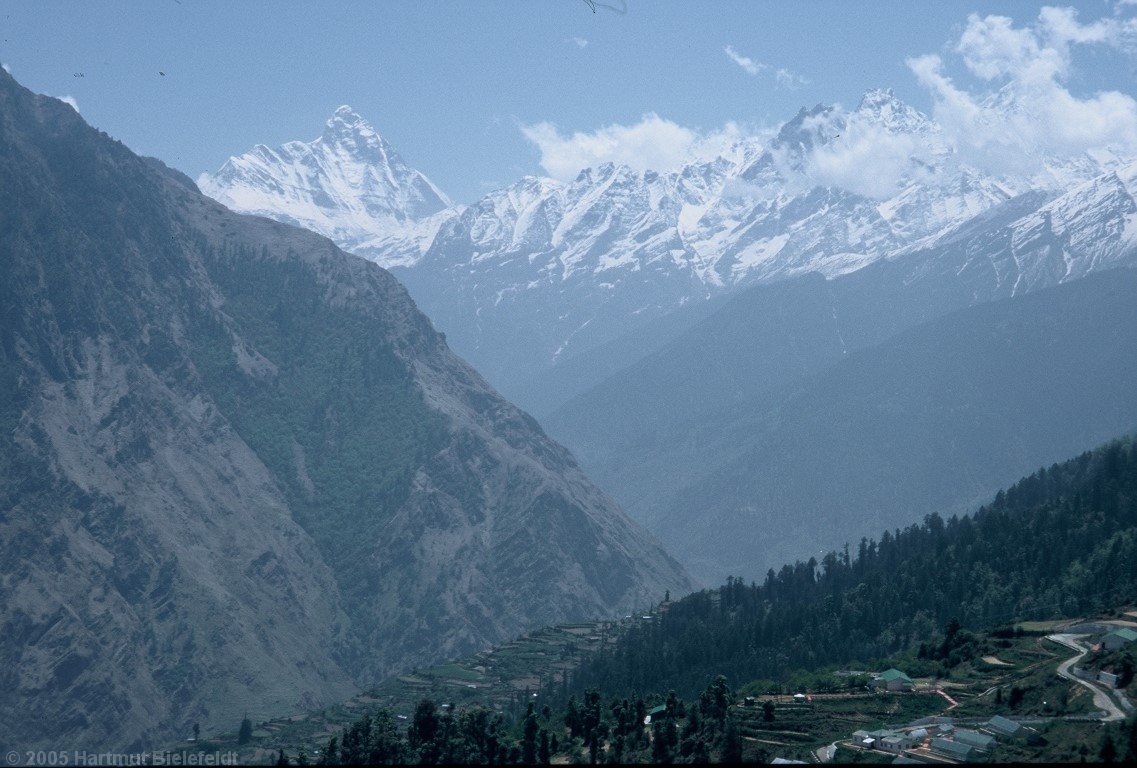 Blick von Auli zur Nanda Devi (7816m)