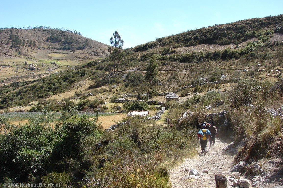 Near Cochapampa, the land is cultivated again