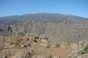 Gipfelaussicht zu den Cañadas: ganz hinten der Teide. 