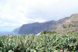 Bananenplantagen und die Steilküste von Los Gigantes