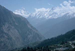 Blick von Auli zur Nanda Devi (7816 m)