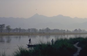 Chitwan N.P.