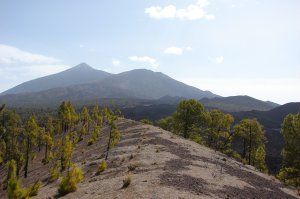 Gute Aussicht auf Teide und Viejo