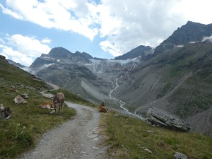 Hüttenaufstieg, im Hintergrund Piz Buin und Ochsentaler Gletscher