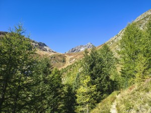 Hütte in Sicht (Bildmitte)