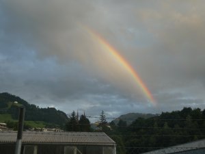 nach dem Gewitter
