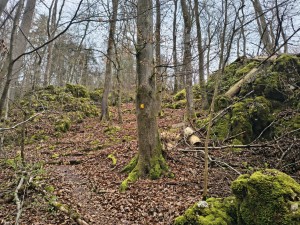 Markierung ist zu erkennen, Weg weniger