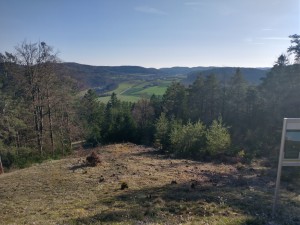 Der Tag wird warm und sonnig