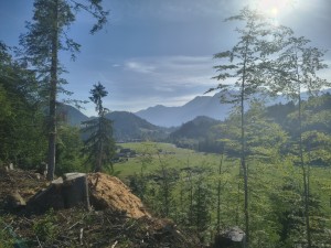 halb neun - jetzt wirds warm