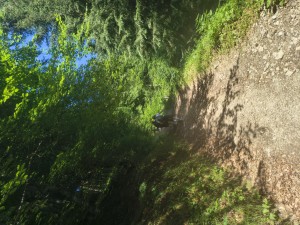 steiler Anstieg zum Geißberg