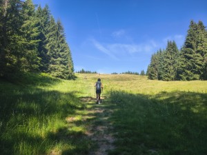 30°C, Schatten ist jetzt alle