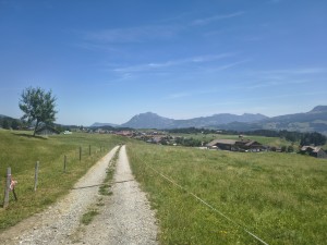 km 37, ab jetzt wird es eher eintönig
