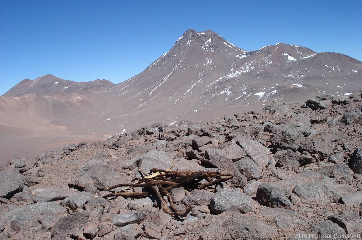 Holz (Alter unbekannt) auf dem Cerro Negro de Pujsa. Hinten der Acamarachi