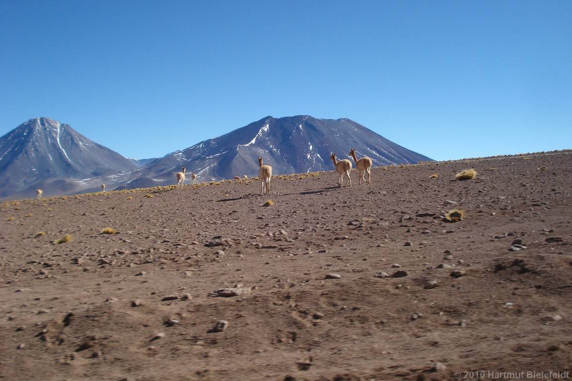Nochmals auf dem Weg zum Cerro Toco