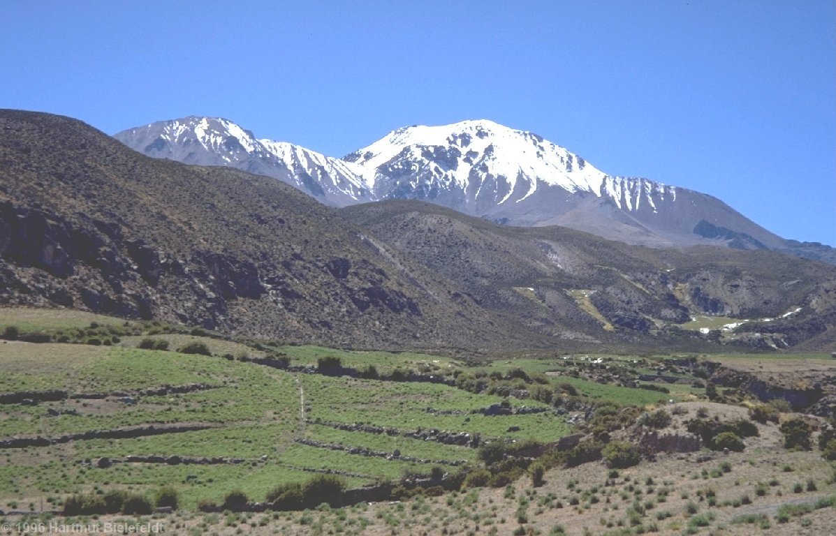 Über den grünen Feldern steht der Cerro Taapacá.