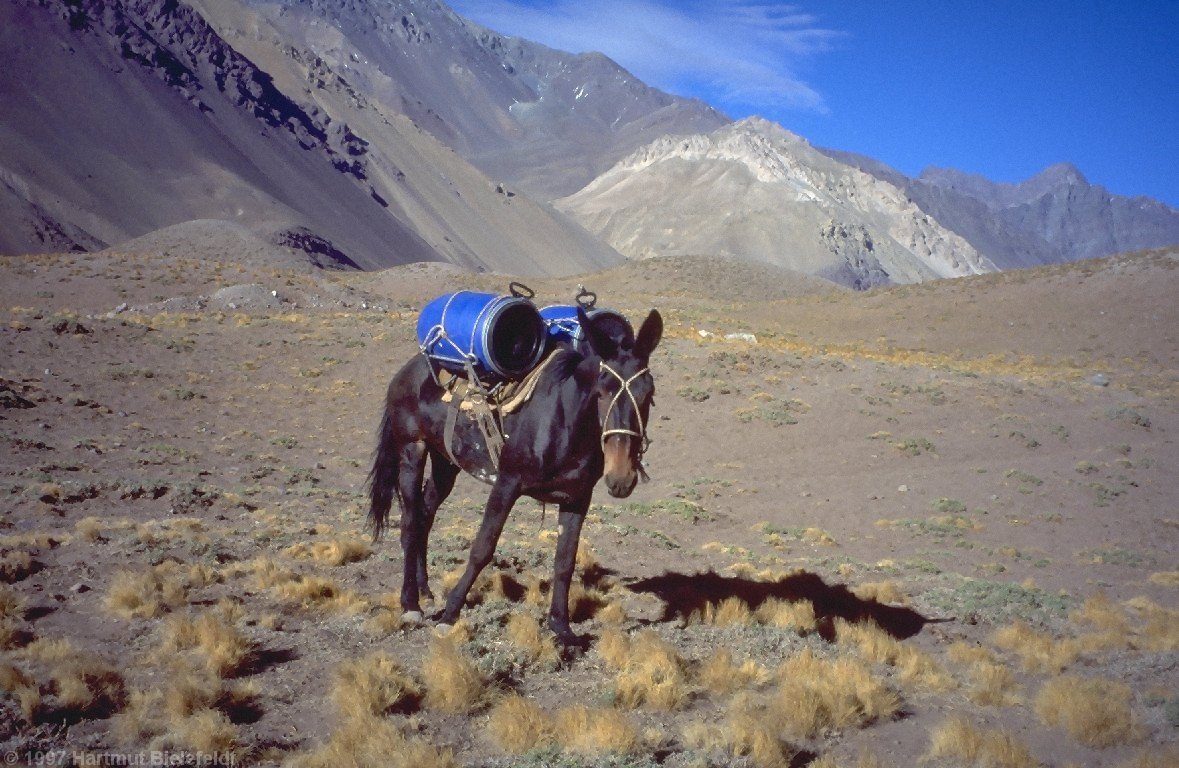 He has to go up, for us it is just an hour until we are back to civilisation.