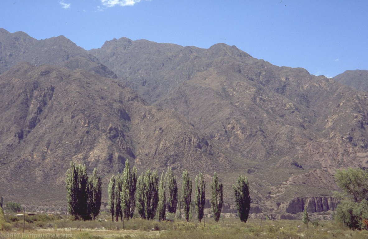 Potrerillos, we just have to wait for the bus here.