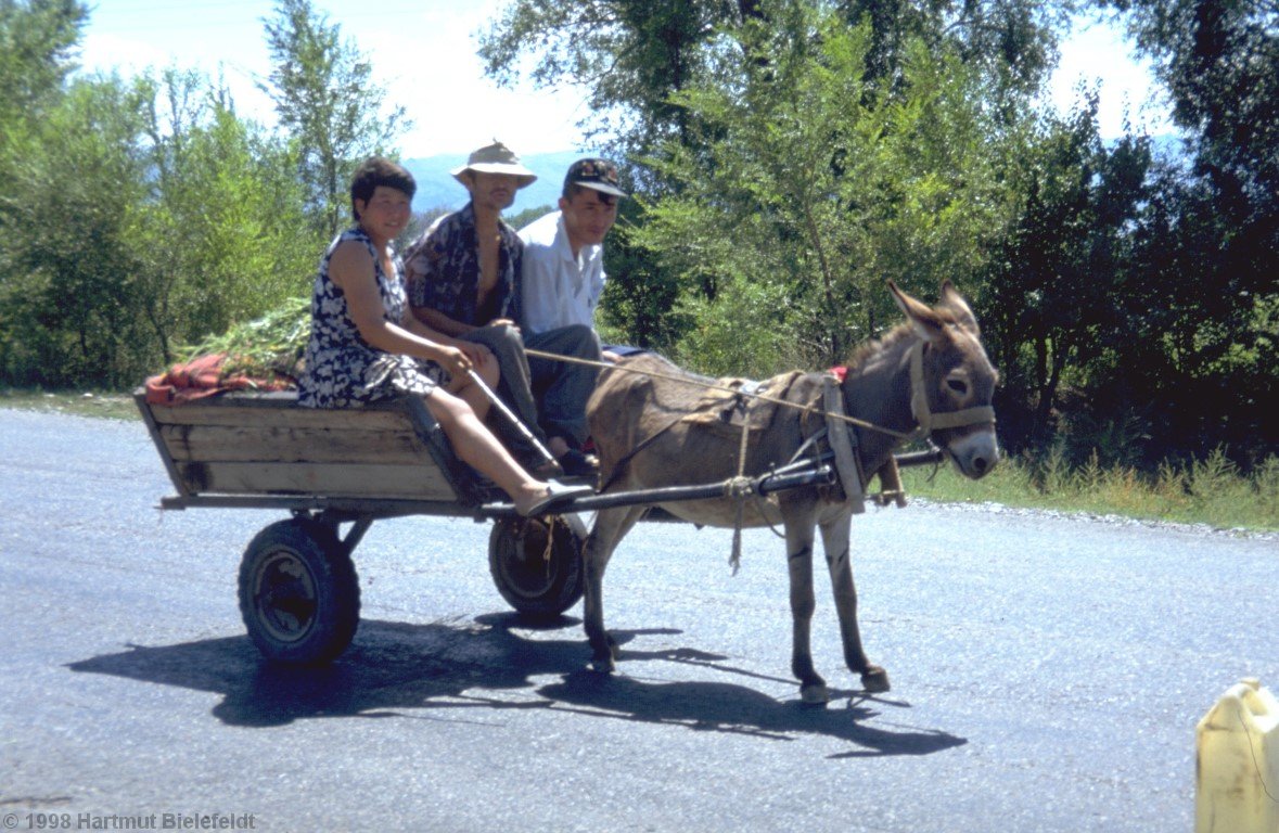 Thanks to a tire problem, the local population is outrunning us.