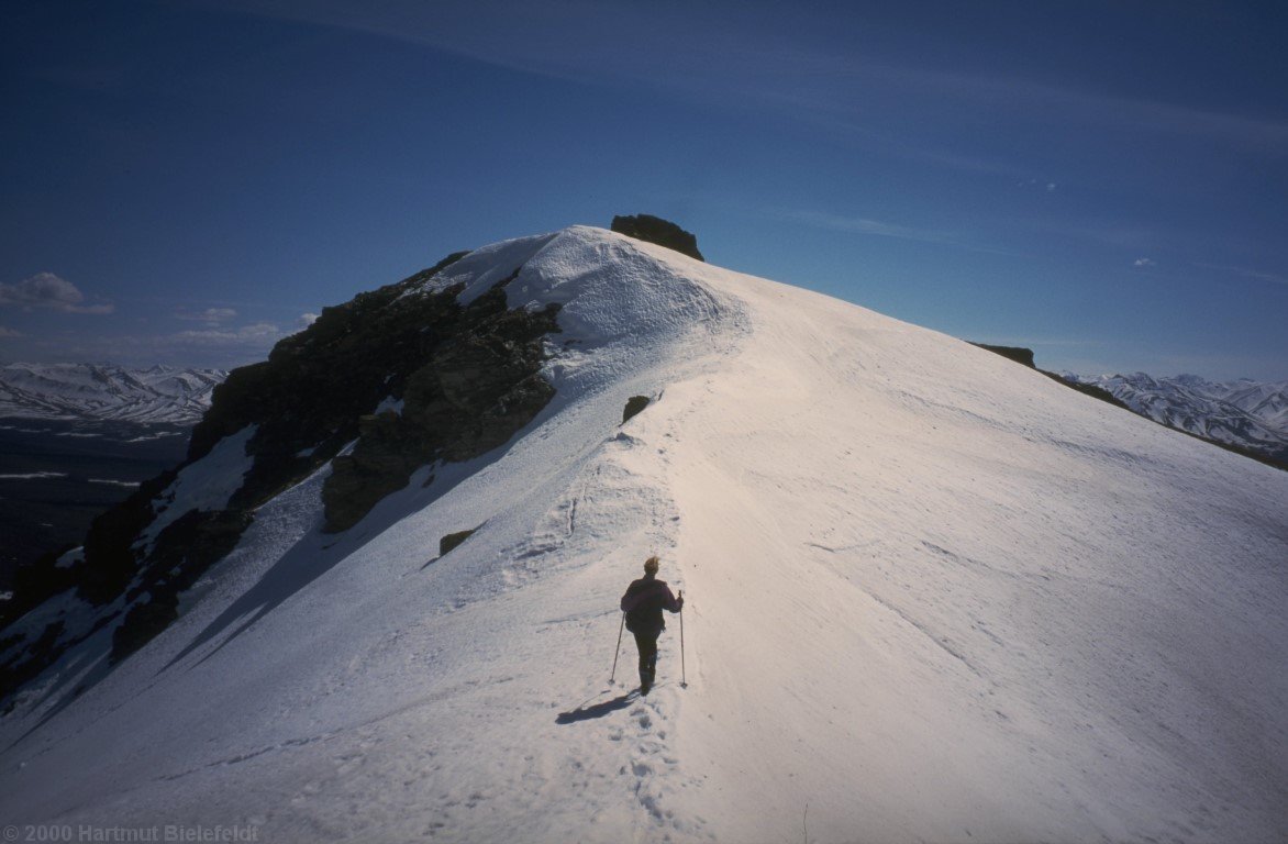 Der Vorgipfel des Mount Margaret, 1500 m.