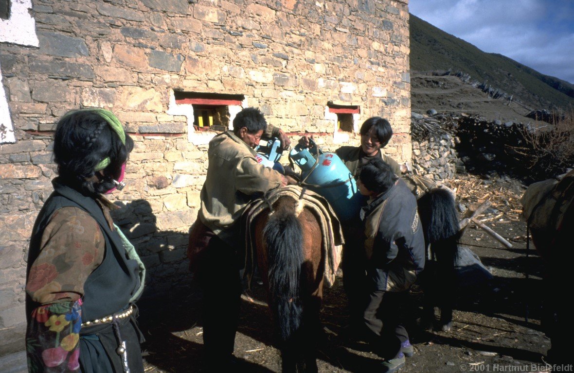 Out baggage is being loaded onto horses in the next morning.