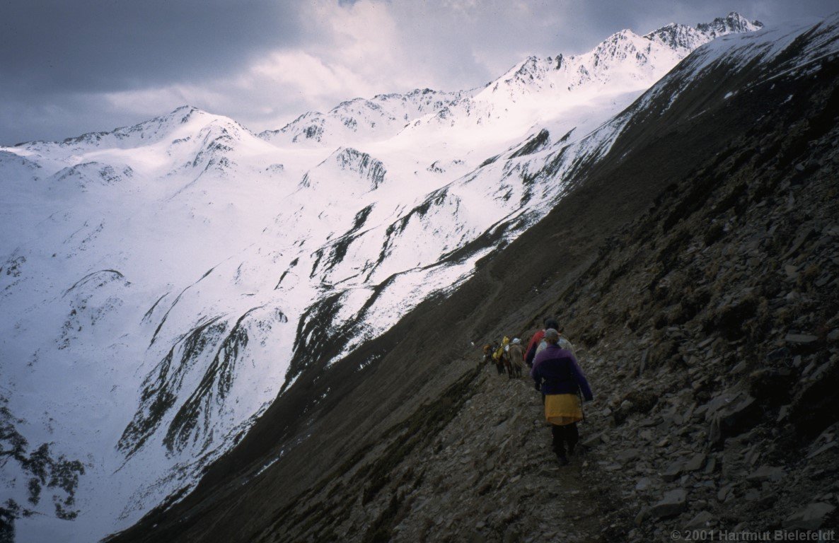 With frightened horses we labor down the slope in order to look for the fallen horse
