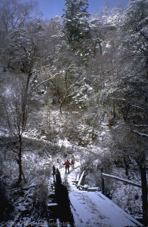 After the bridge we will climb 400 meters up to Gongga Gompa monastery.