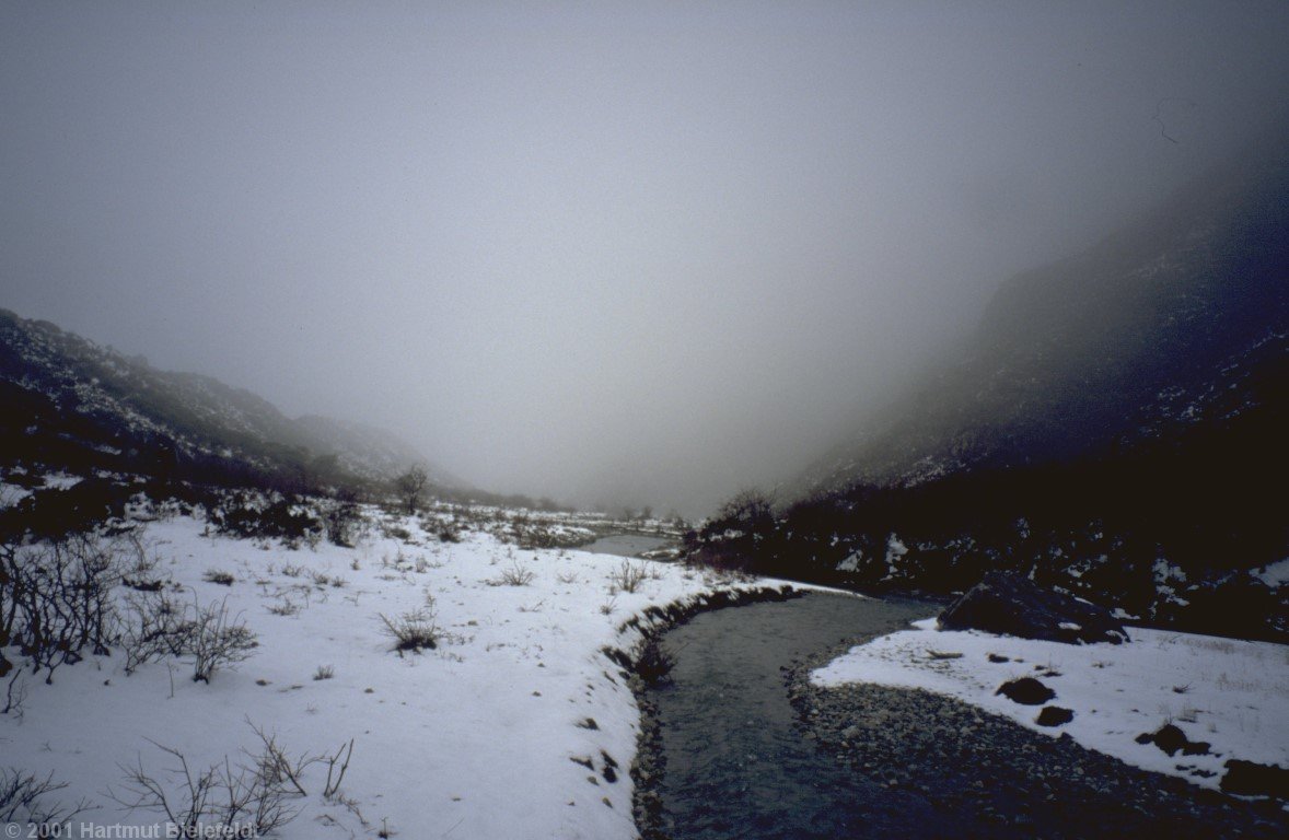 Vor Gongga Gompa tauchen wir in den Nebel ein