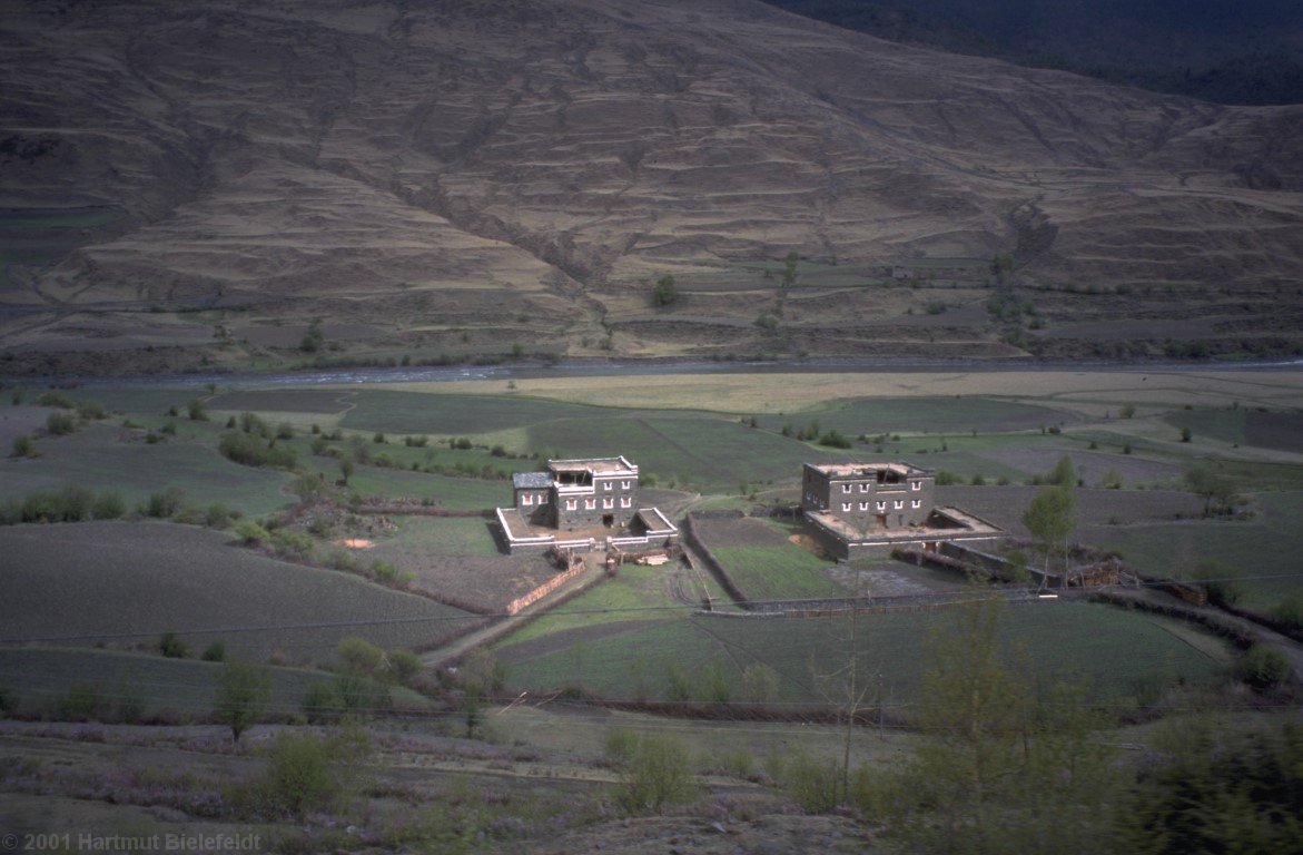 Meanwhile the fields have become greener.