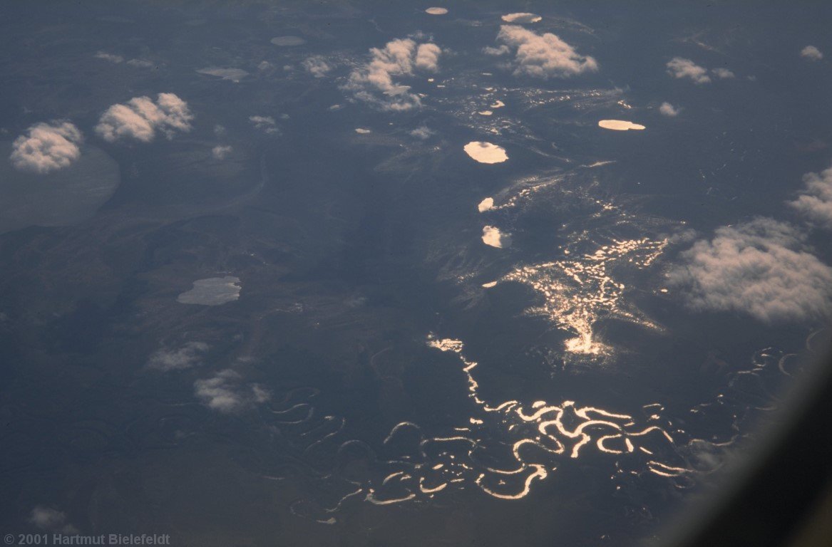 Flight back home: Siberian taiga.