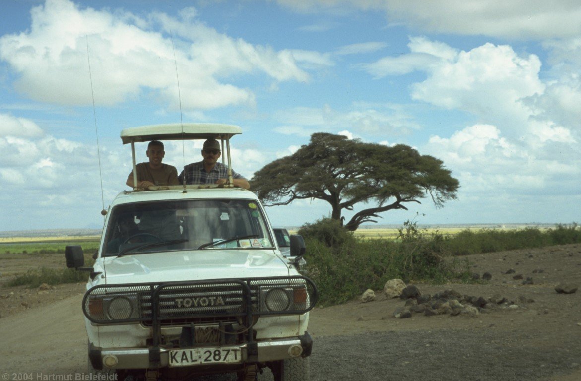Das ausklappbare Dach ermöglicht eine gute Aussicht