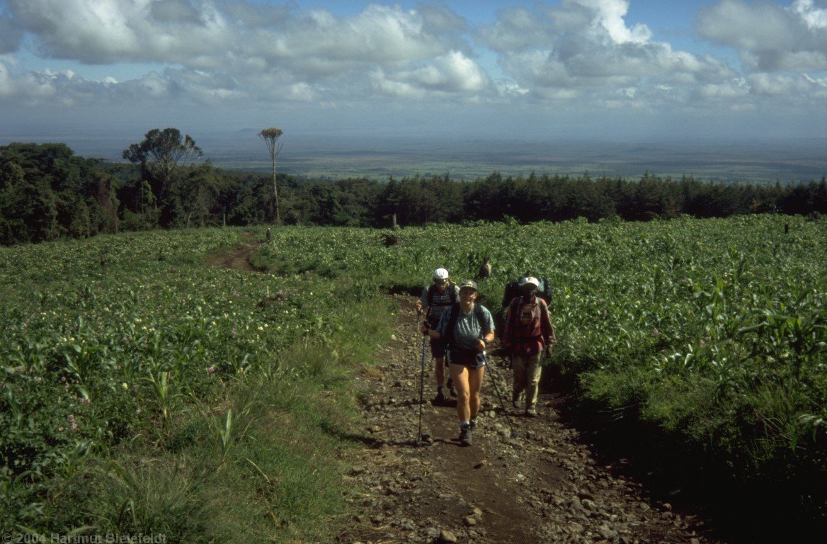 Durch Maisfelder geht es am ersten Tag gemütlich aufwärts