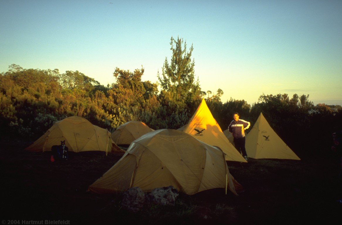 Morgen im Simba Camp