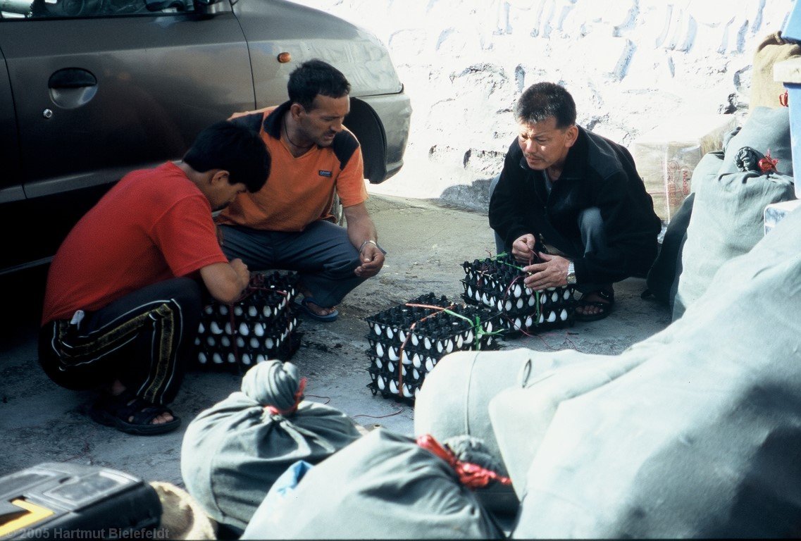 The eggs are packed very carefully