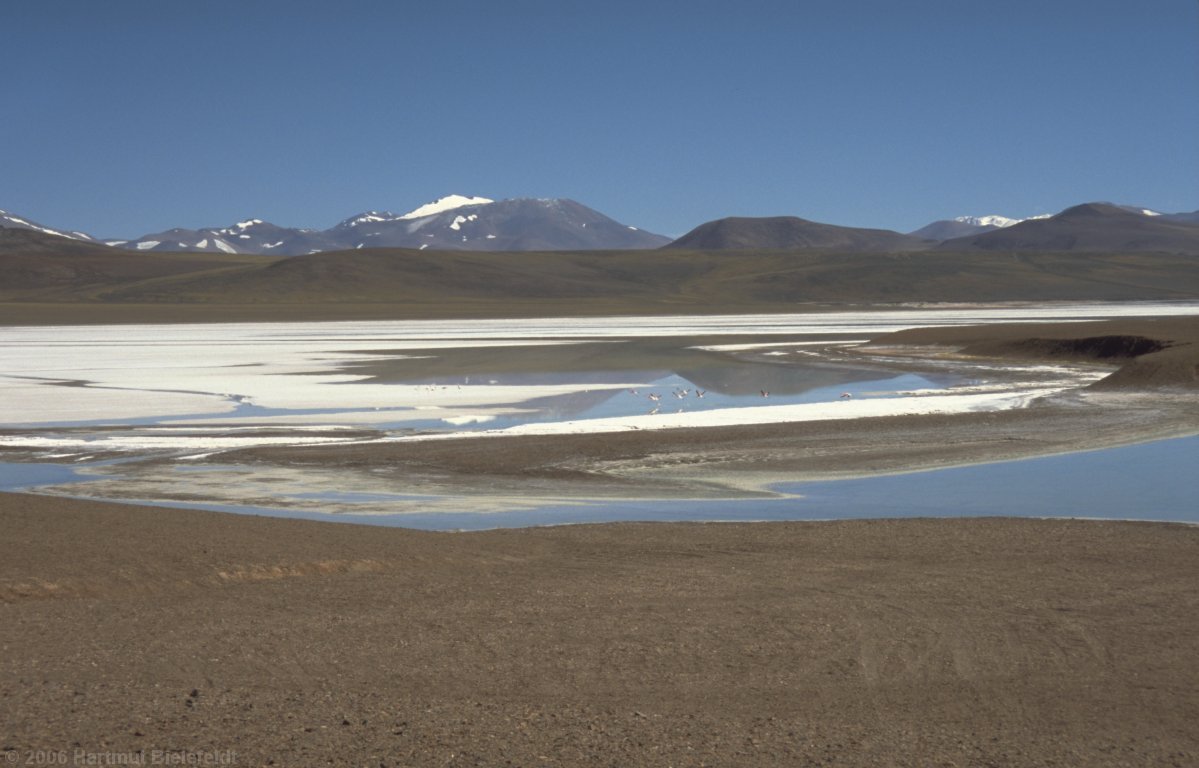Laguna Brava