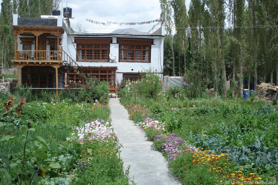 Guesthouse in Leh