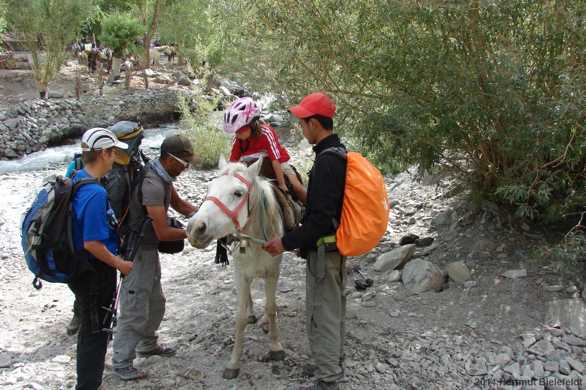 Erstes Kennenlernen Nina<->Pferd