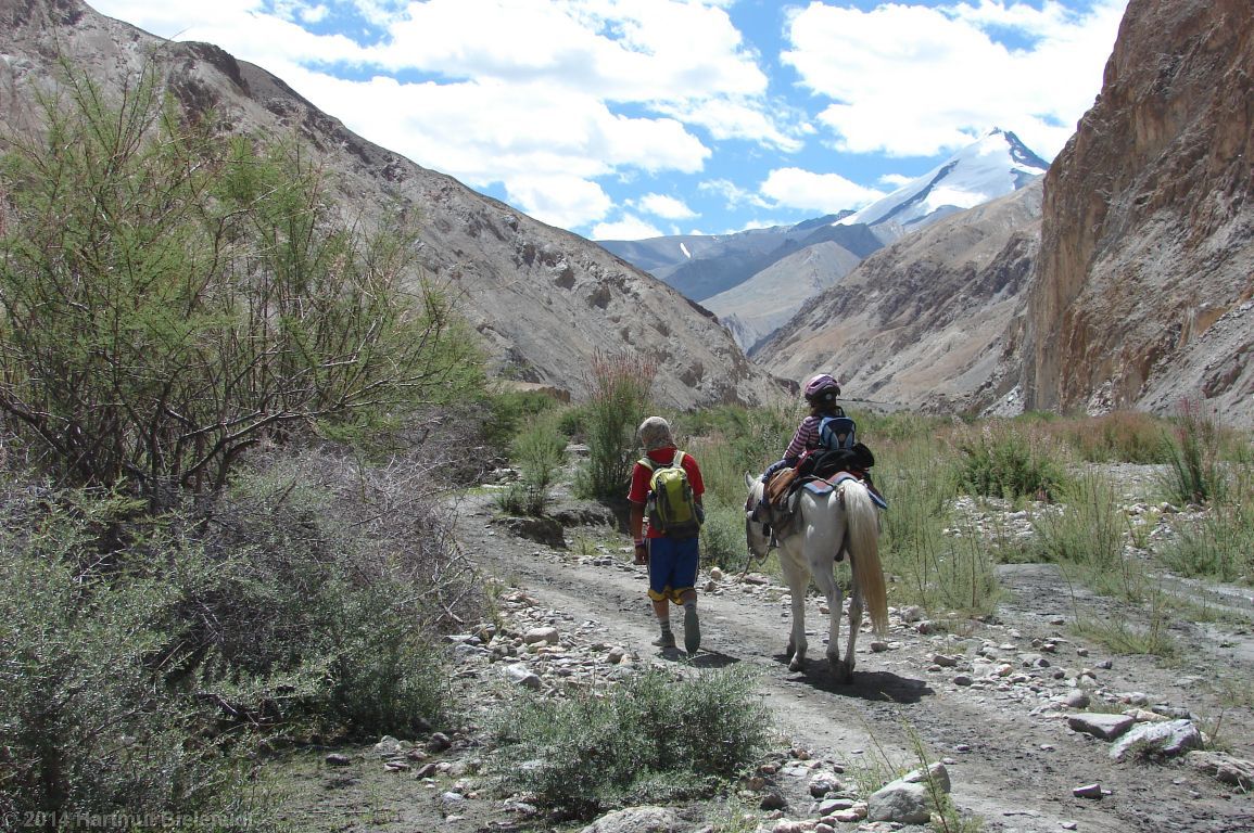 Erste Aussicht auf den Kang Yatze (6400 m)