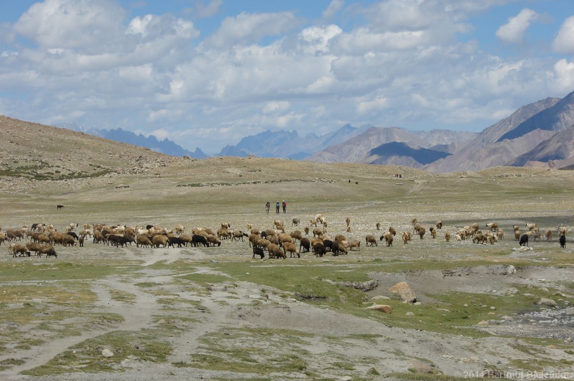 Kurz vor Nimaling (4850 m)