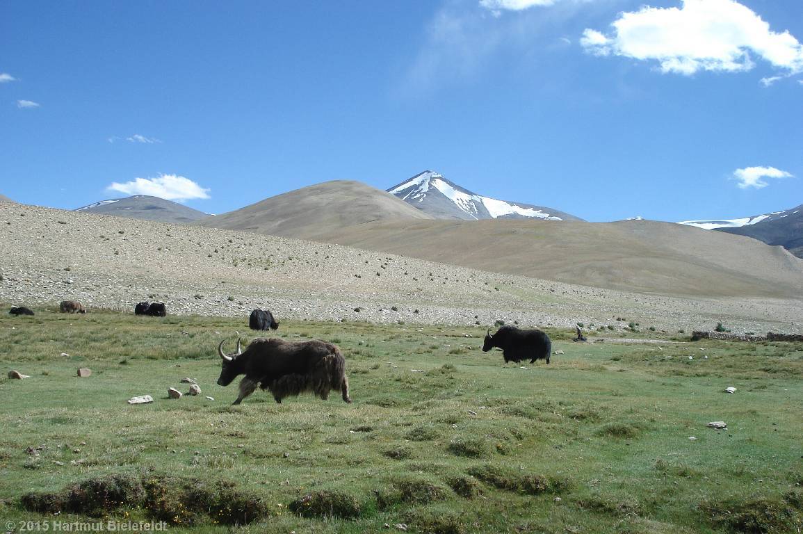 Lagerplatz Nuruchang (4690 m)
