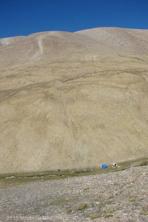 view to the slopes of Yalung Nong