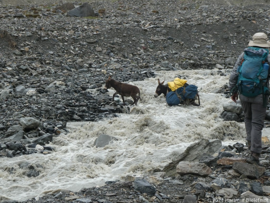 Der Fluss führt schon recht viel Wasser