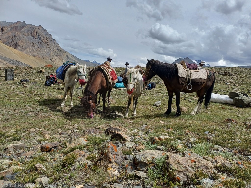 Am Lagerplatz am Spangthang Tokpo, 4710 m