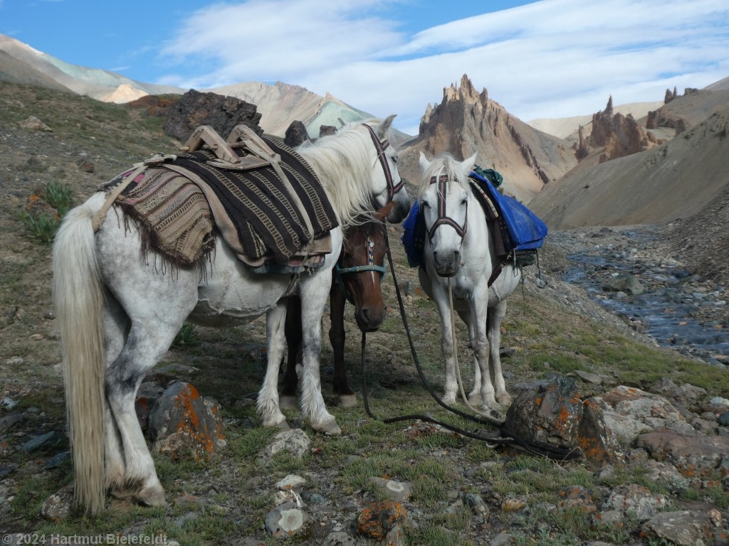 Bald geht´s wieder an die Arbeit