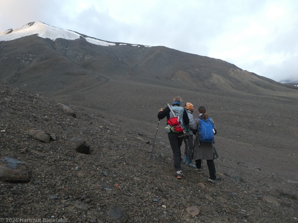 Suche nach dem optimalen Zugang