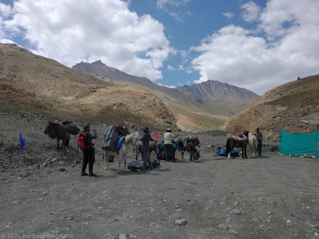 Dort ist großes Abpacken und Umladen angesagt.