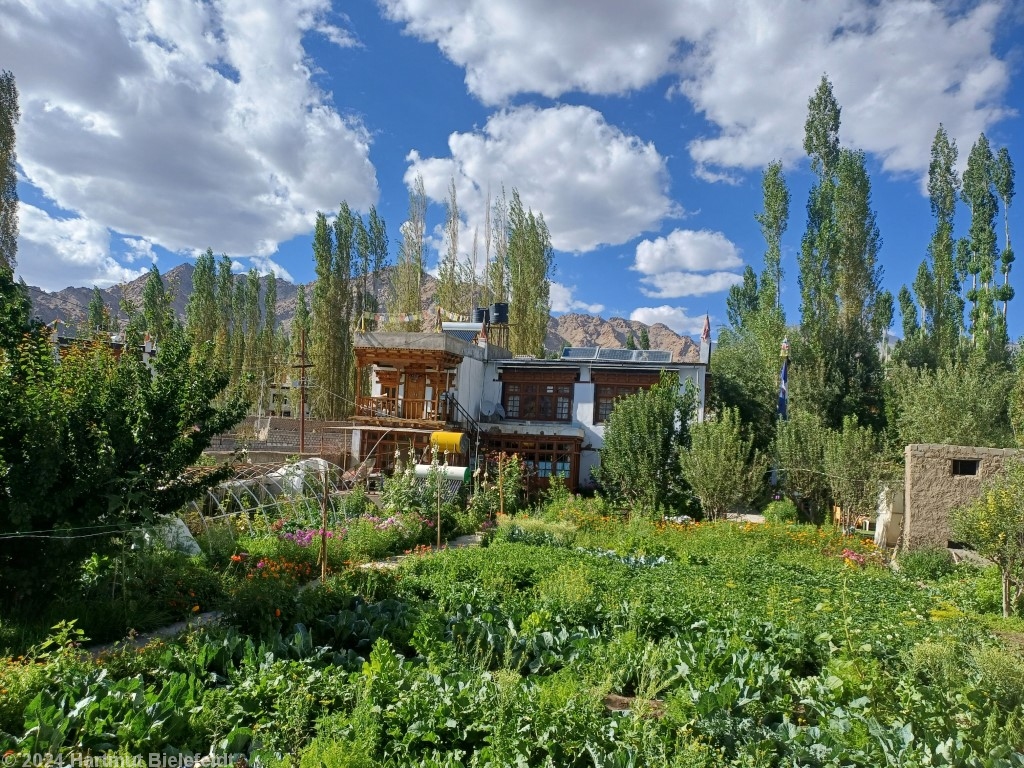 Yartsa Guesthouse, Leh